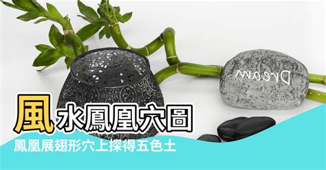 鳳凰樓風水